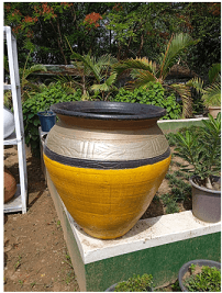 Beautification Services - 2