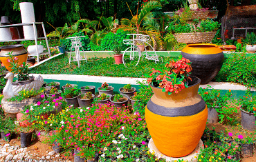 Interior Decoration - 2