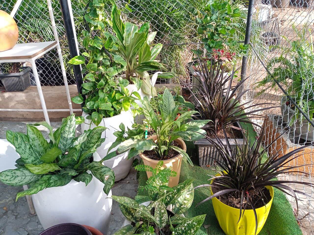 photo_2022-05-16_15-42-35