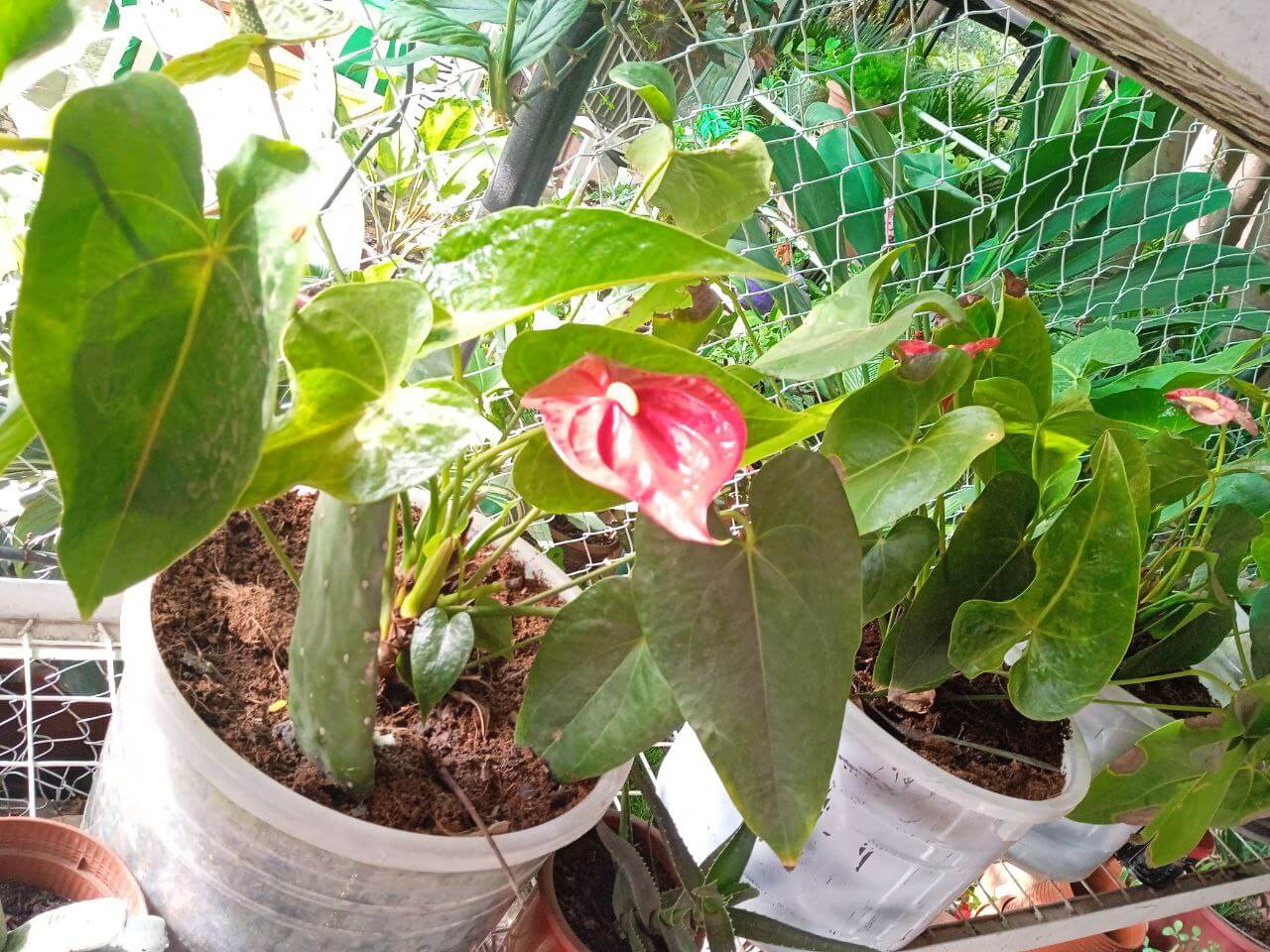 photo_2022-05-16_16-07-30