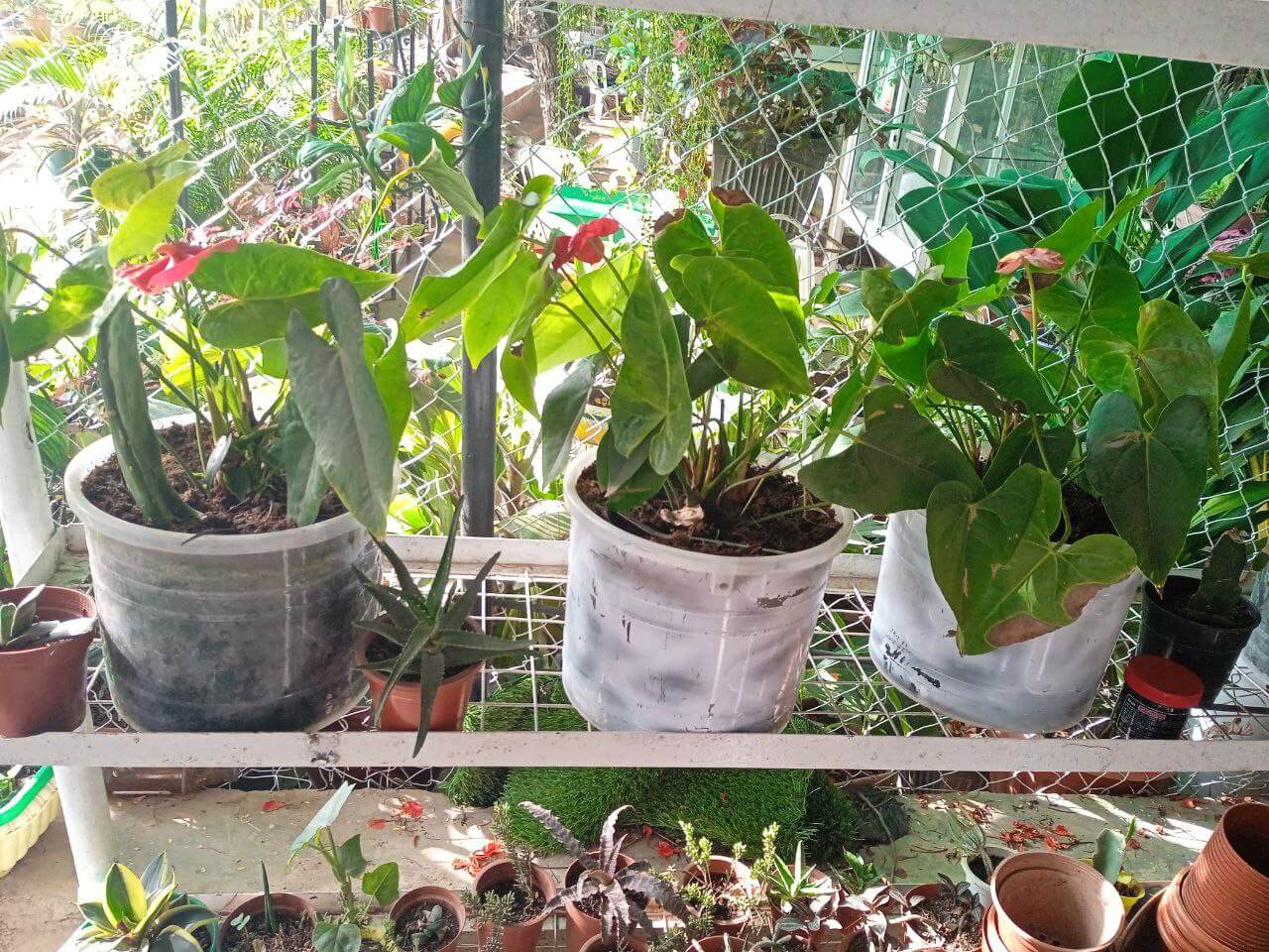 photo_2022-05-16_16-07-33