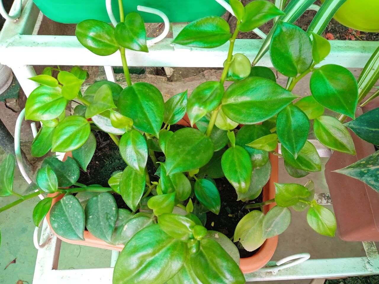 photo_2022-05-16_16-10-14