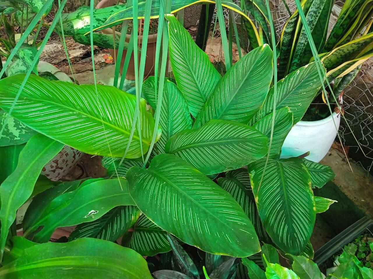 photo_2022-05-16_16-10-16