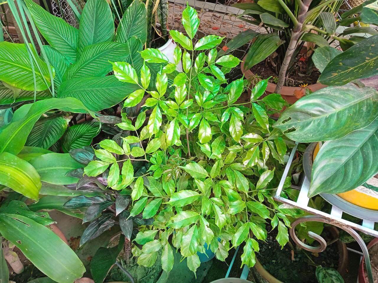 photo_2022-05-16_16-10-19-2