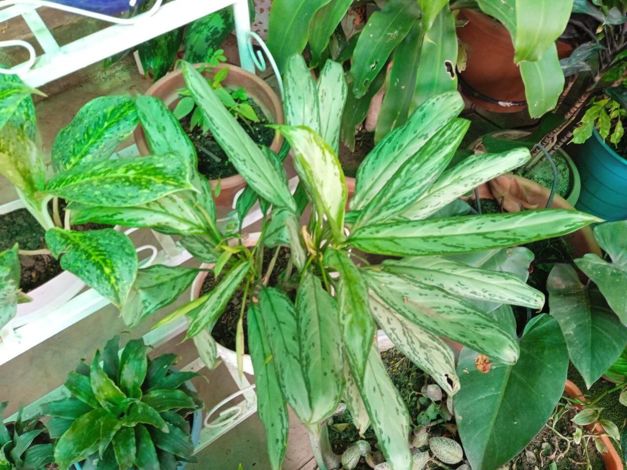 photo_2022-05-16_16-10-21-2